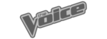 voice